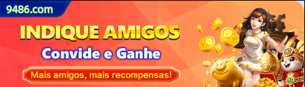 d11 Paga